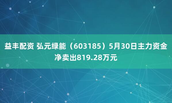 益丰配资 弘元绿能(603185)5月30日主力资金净卖出819.28万元