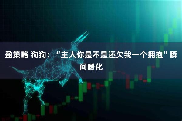 盈策略 狗狗：“主人你是不是还欠我一个拥抱”瞬间暖化