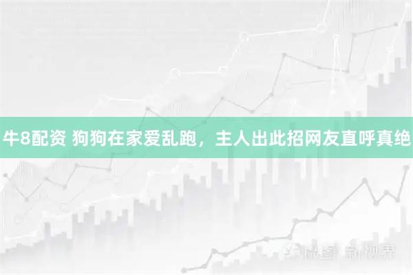 牛8配资 狗狗在家爱乱跑，主人出此招网友直呼真绝