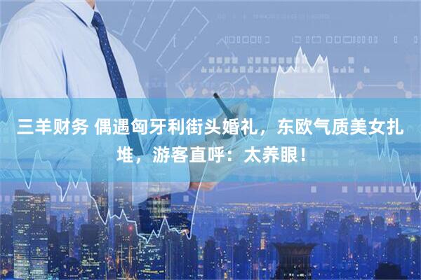 三羊财务 偶遇匈牙利街头婚礼，东欧气质美女扎堆，游客直呼：太养眼！