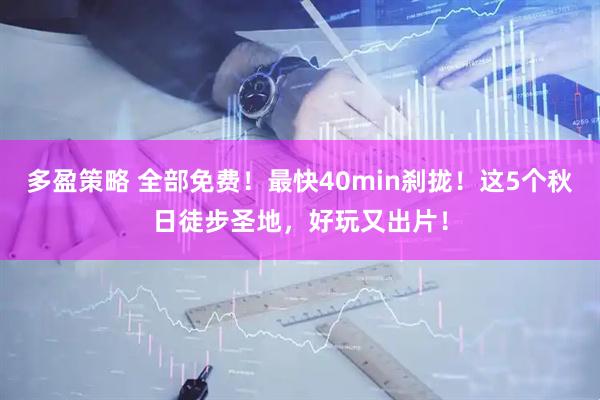 多盈策略 全部免费！最快40min刹拢！这5个秋日徒步圣地，好玩又出片！